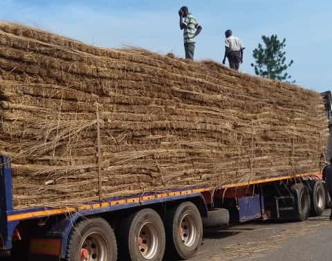 Traditional craftsmanship